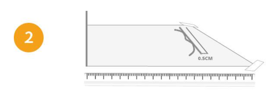 timberland shoe size